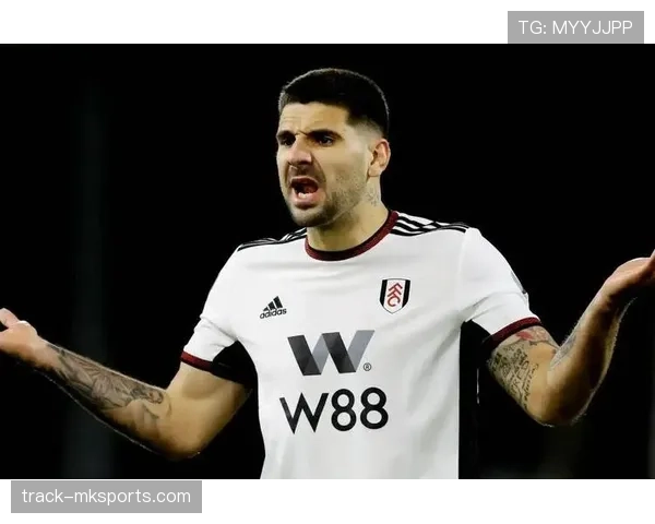 富勒姆公布未来发展计划，聚焦打造更具竞争力的球队体系