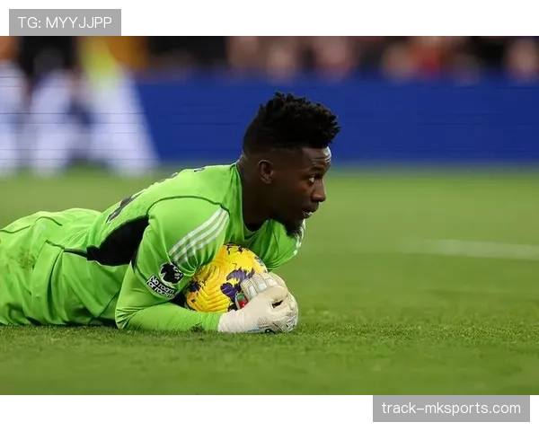 奥纳纳：从霍芬海姆梯队到汉堡主力的职业生涯早期解析