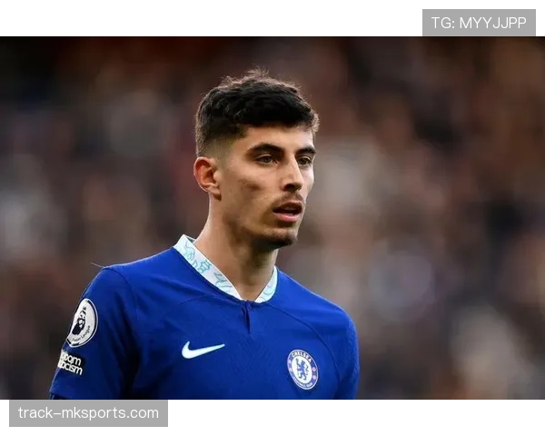 奥斯梅恩国家队表现争议：关键战贡献与战术适配性分析